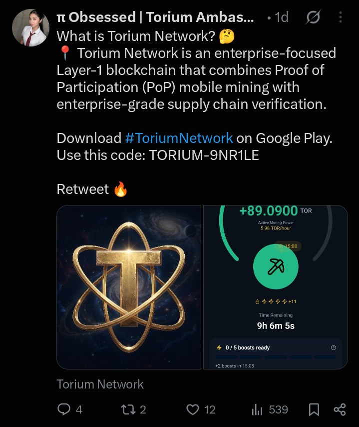 What is Torium Network?